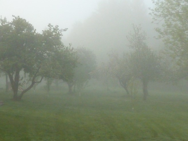 0200jgg7-c9f7.jpg