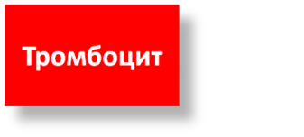 0200jgky-7788-337x152.png