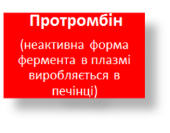 0200jgl6-a73f-243x191.png