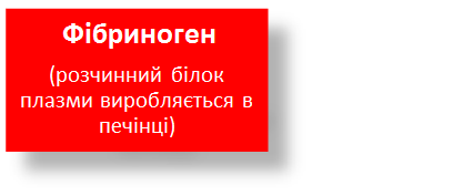 0200jgp5-1c44-408x177.png