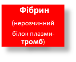 0200jgri-f013-248x204.png