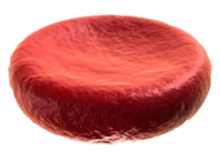 0200jh11-ec8c-198x137.png