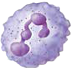 0200jh2b-aa5f-199x192.png