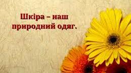 Шкіра - твій захисник