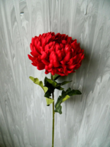 0200jhrf-a0af-156x208.png