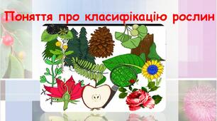 Поняття про класифікацію рослин.