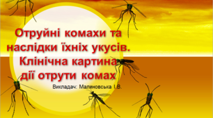 Презентація з Захисту Вітчизни на тему: "Отруйні комахи та наслідки їхніх укусів. Клінічна картина дії отрути комах."