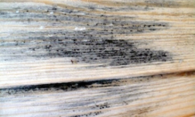 0200jkn0-3c07-219x131.png