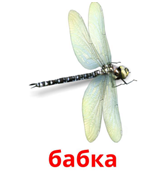 0200jmdx-ca53.png