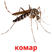 0200jmdy-05d8.png