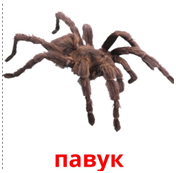 0200jme4-c13f.png