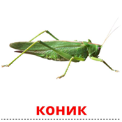 0200jme7-a269.png