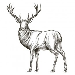0200jmvg-8eec.png