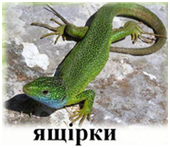 0200jn4j-1886.png