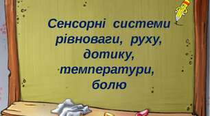 Тест на тему "Сенсорні системи" (око, вухо) .12 питань з однією правильною відповіддю.