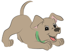0200jpty-d243-218x168.png
