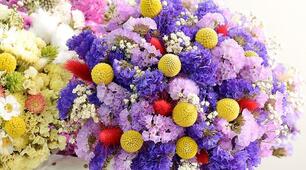 Гурток "Природа і творчість". На замітку юним флористам