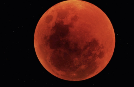 0200js31-1364.png