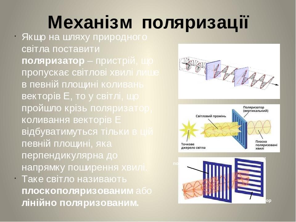 Поляризатор дисплея что это