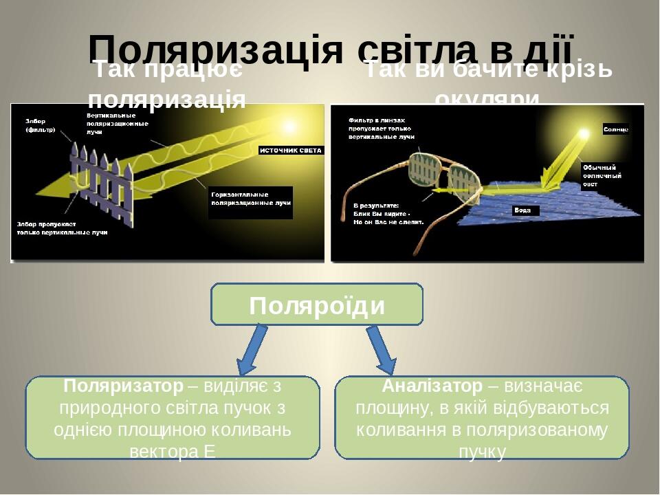 Поляризатор дисплея что это