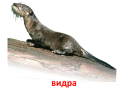 0200jtgh-b70e-260x195.png