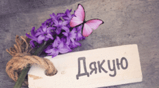 Я, вдячна... 💞