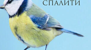 Літературне читання. 4 клас.  І.Я.Франко. Казка " Як синиця хотіла море спалити".