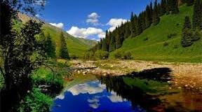 Води суходолу. Біосфера