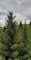 0200jx9m-8de2-110x211.jpg