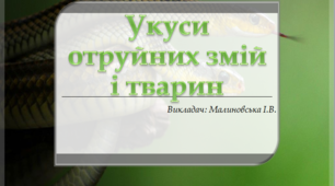Презентація з Захисту Вітчизни на тему: "Укуси отруйних змій і тварин"