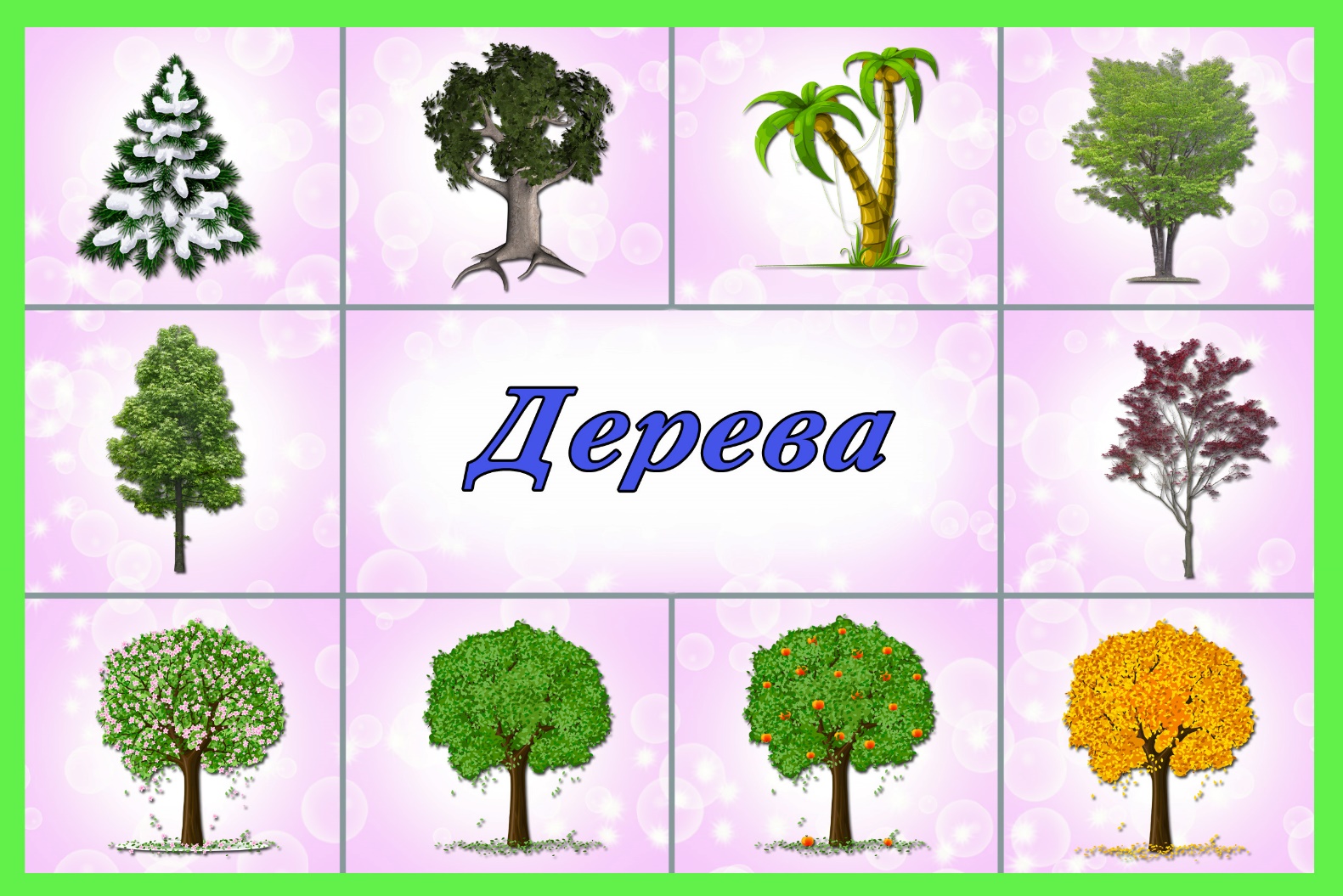 Карточки с изображением деревьев