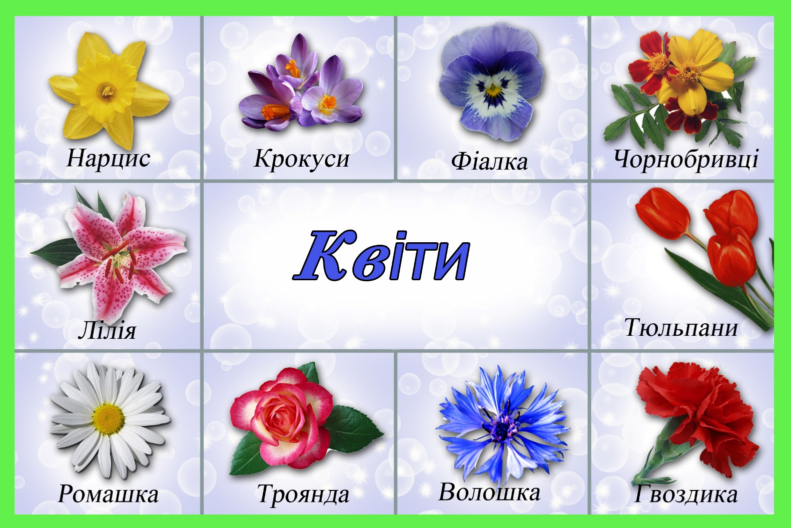 Цветы с названиями для детей