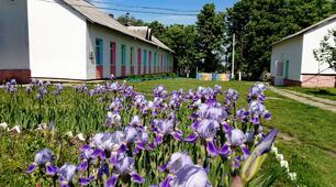 Звіт заступника НВР за І семестр 2020-2021 н.р.