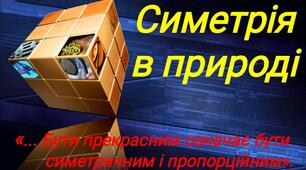 Геометричні перетворення. Симетрія в природі.