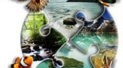 Презентація "Поняття про сукцесії. Природні та антропогенні сукцесійні ряди"