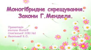 Презентація "Моногібридне схрещування. Закони Г.Менделя"