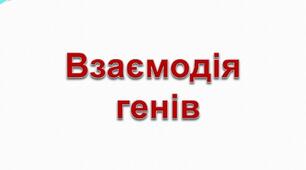 Взаємодія генів