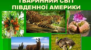 Рослинний і тваринний світ Південної Америки