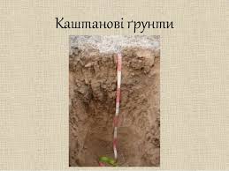 0200kbp4-ccf4.jpg