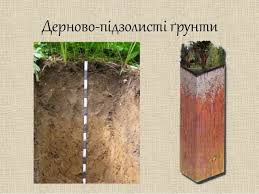 0200kbpg-2036.jpg