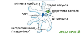 0200kgvx-685e-308x128.png
