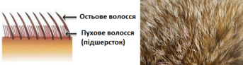 0200khit-4b47-343x92.png