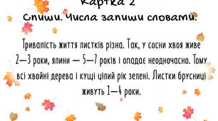 Індивідуальна картка 2. Числівник.