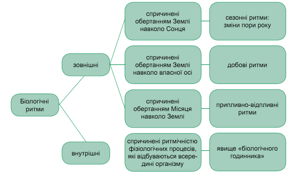 0200kokc-ed78-940x565.png