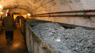 (Копія) Первинний сектор господарства