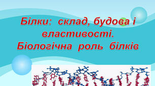 Основні поняття про білки