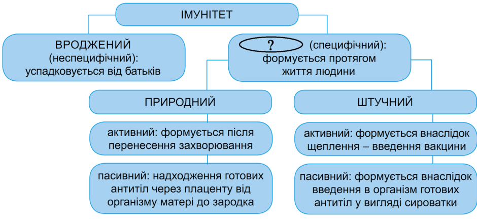 0200kt0i-b488-940x431.png