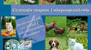 Презентація на тему "Селекція тварин та мікроорганізмів"
