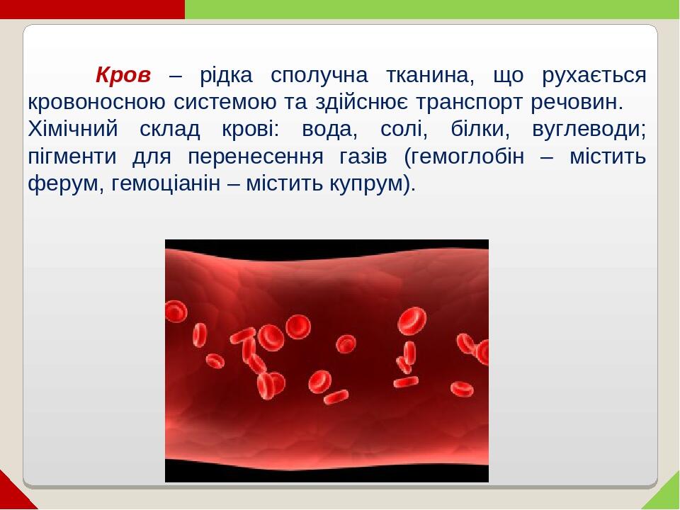 Кров – рідка сполучна тканина, що рухається кровоносною системою та здійснює транспорт речовин. Хімічний склад крові: вода, солі, білки, вуглеводи;...