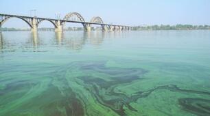 Географія 11 клас	    Дослідження №10:  « Прозорість води у річці (озері, ставку): від чого залежить і чому змінюється»